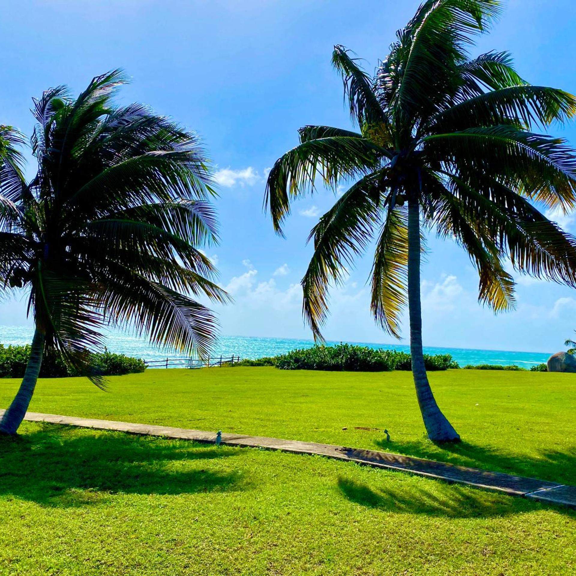 Blue Horizon Boutique Resort 40/53