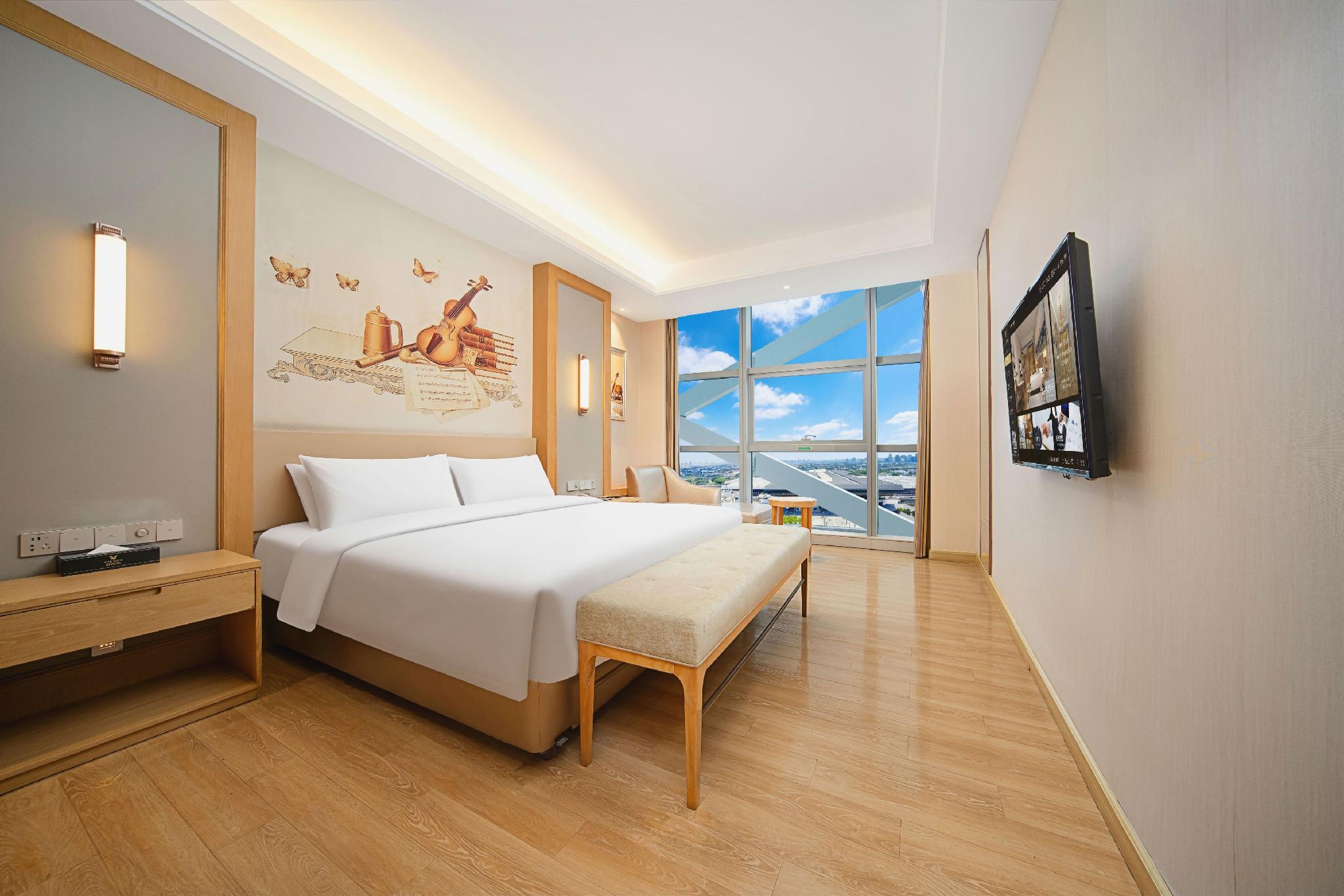 Vienna International Hotel (Suzhou Railway Station North Square) 31/49