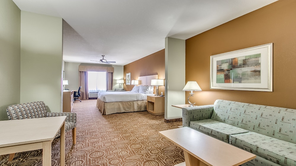 Holiday Inn Express & Suites Lubbock Southwest - Wolfforth 26/50