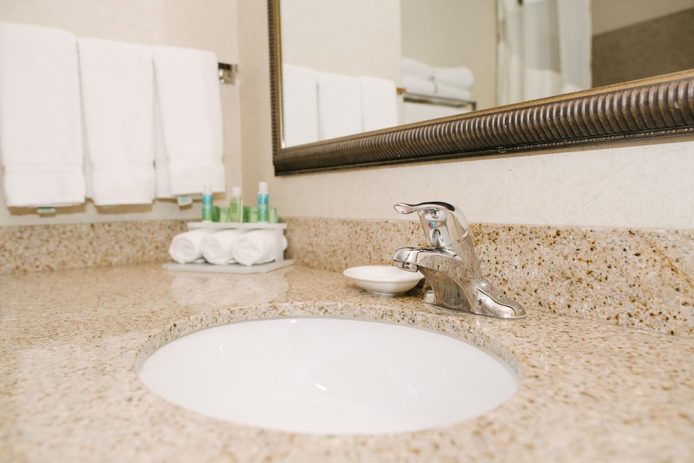Holiday Inn Express and Suites Custer 32/59