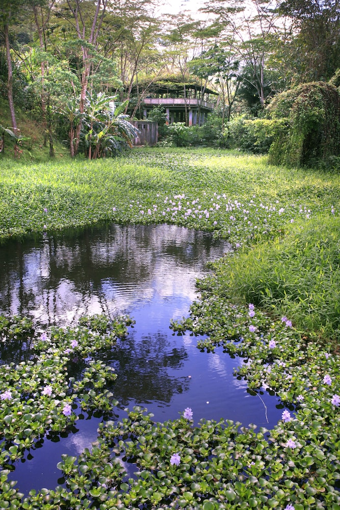 Rancho Margot 25/49