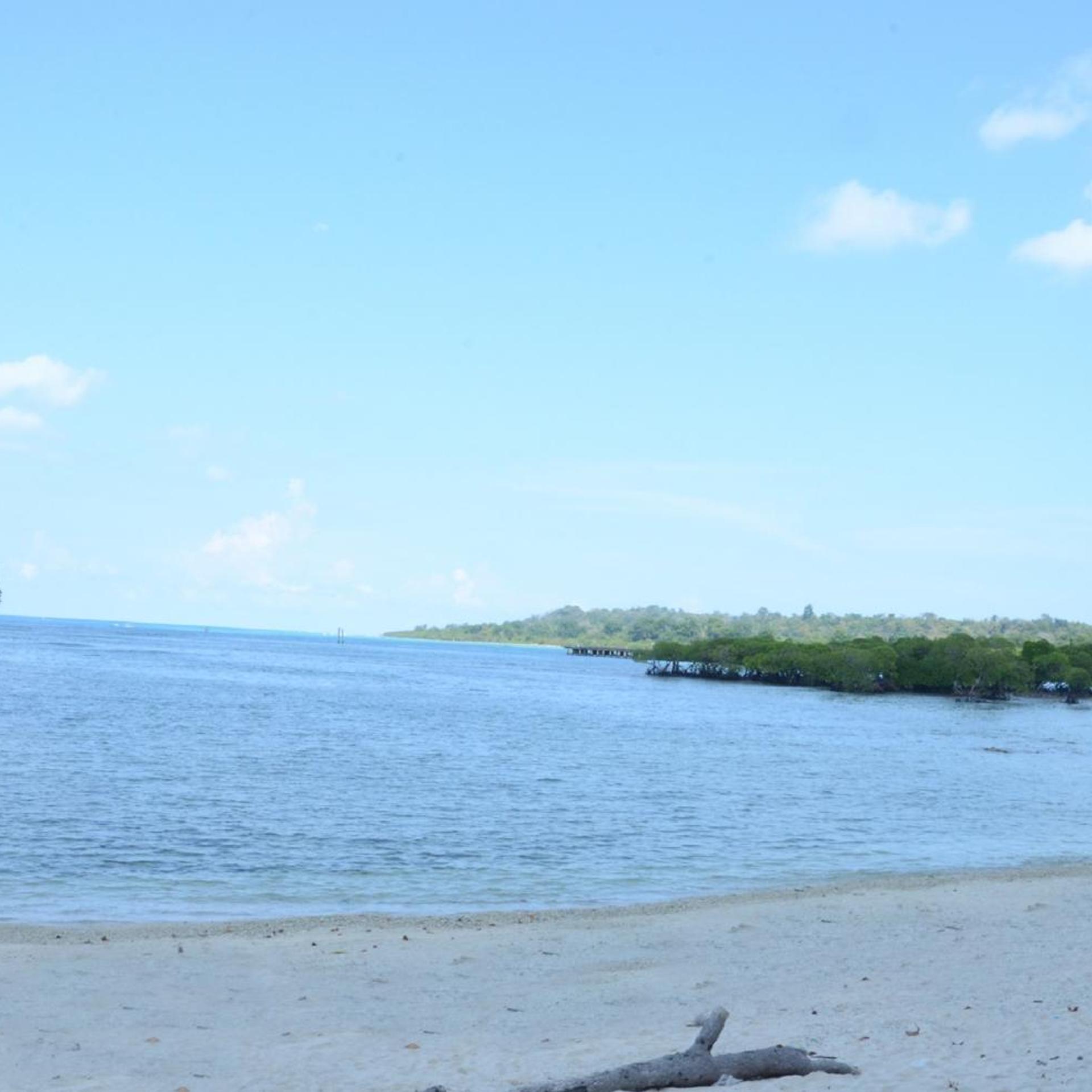 Coconhuts Beach Resort-Neil Island 30/49