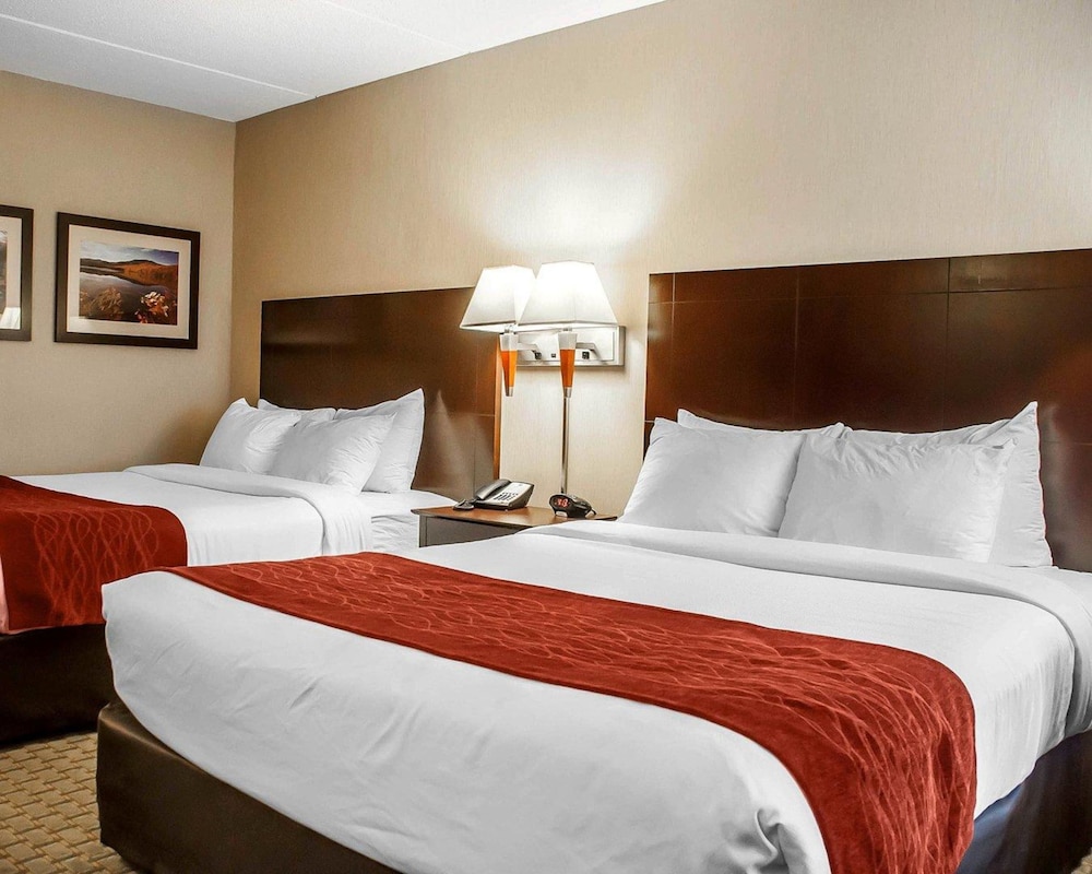 Comfort Inn & Suites Watertown - 1000 Islands 20/54