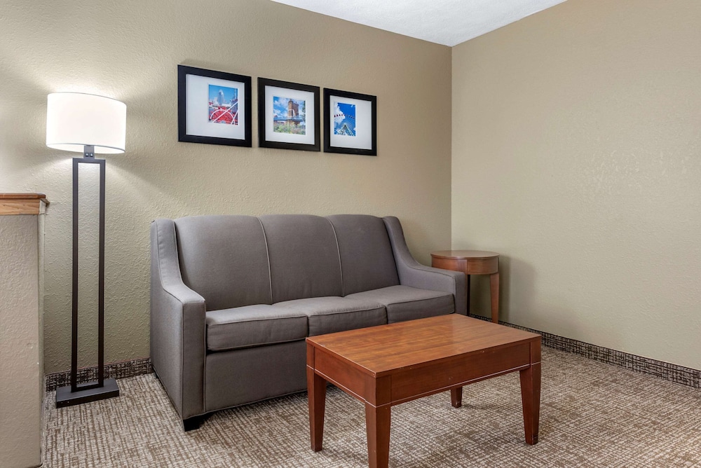 Comfort Inn & Suites Cincinnati Eastgate 29/40