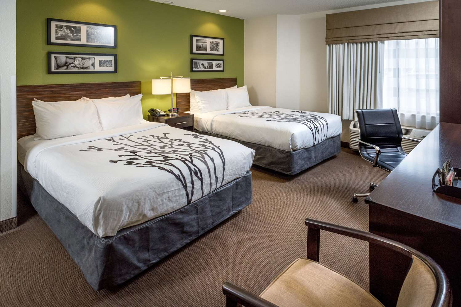 Room, 2 Double Beds