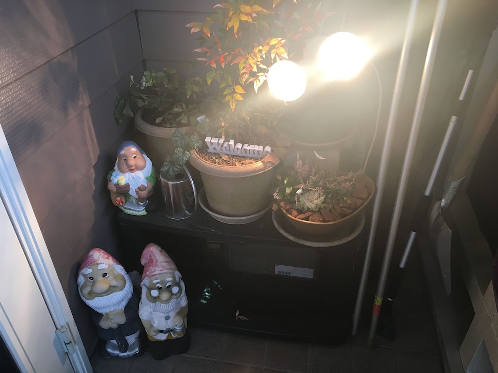Pension Petite House For You 12/30