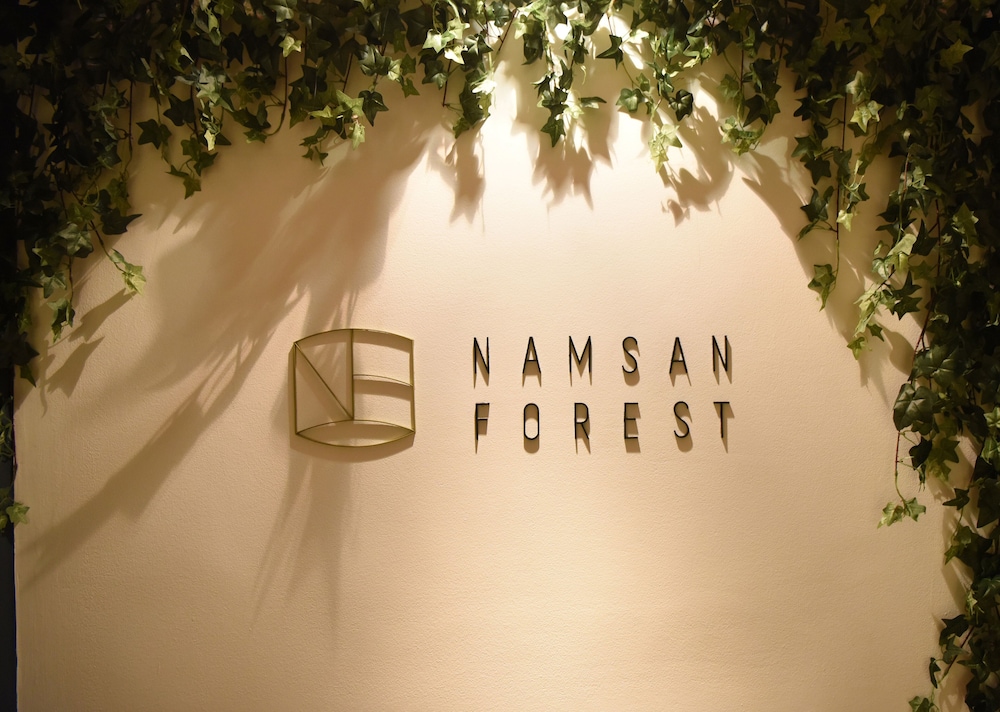 Namsan Forest In Myeongdong 4/56