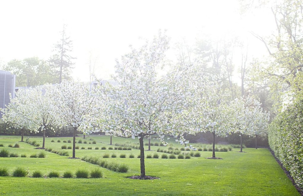 surroundings