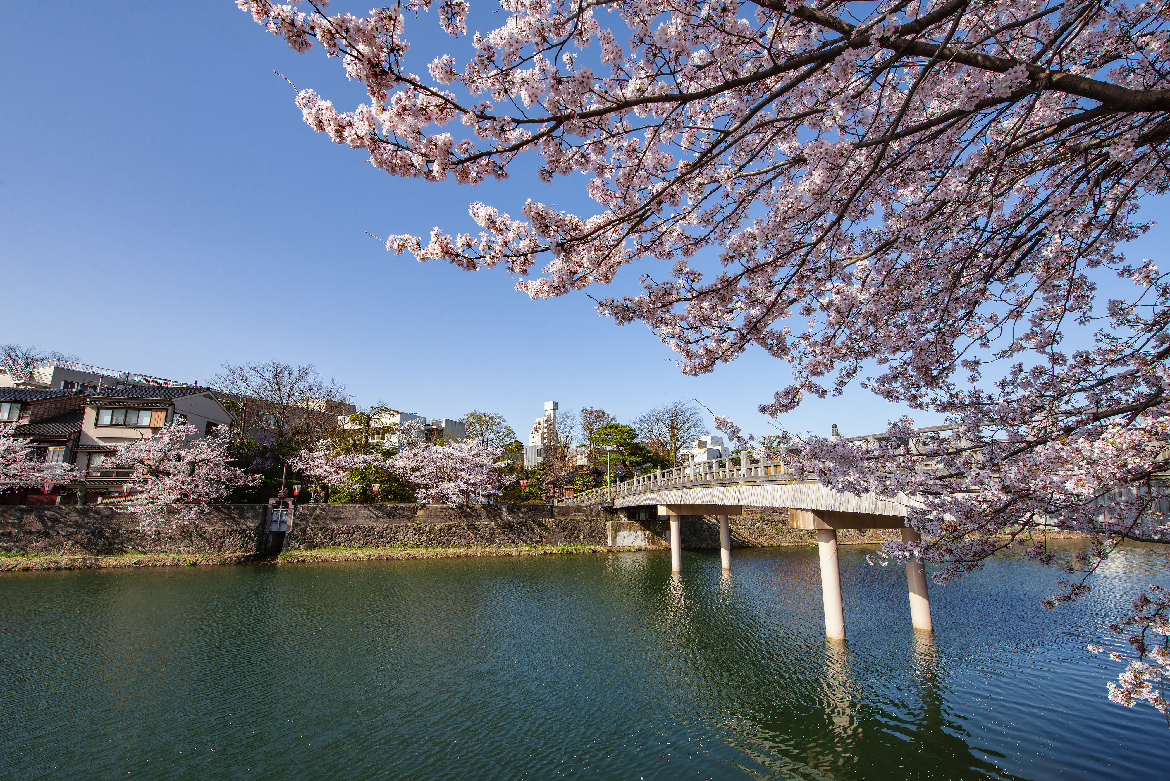 Ana Crowne Plaza Hotel Kanazawa 65/67