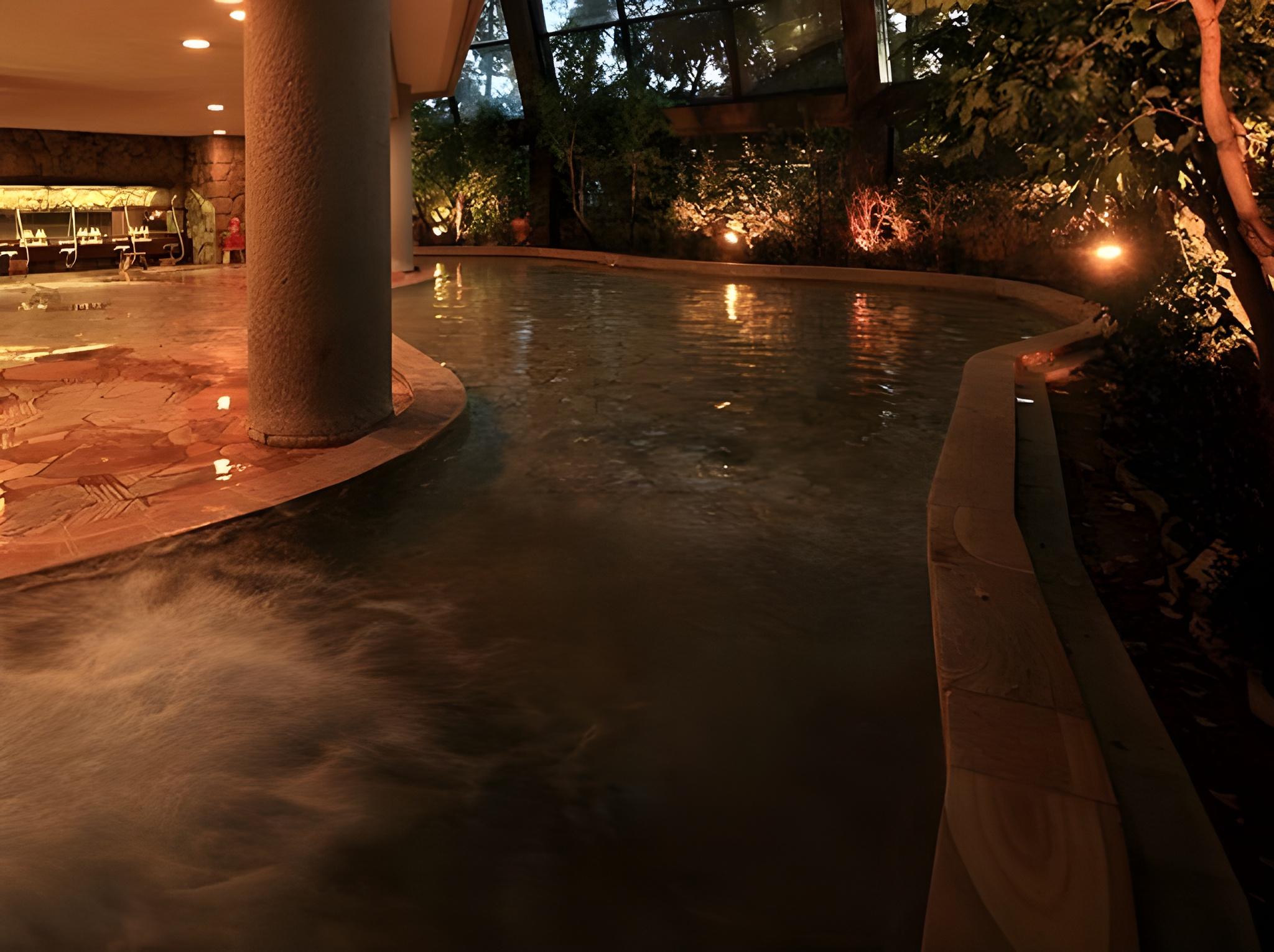 Ureshino Onsen Ryokan Shiibasanso 38/39