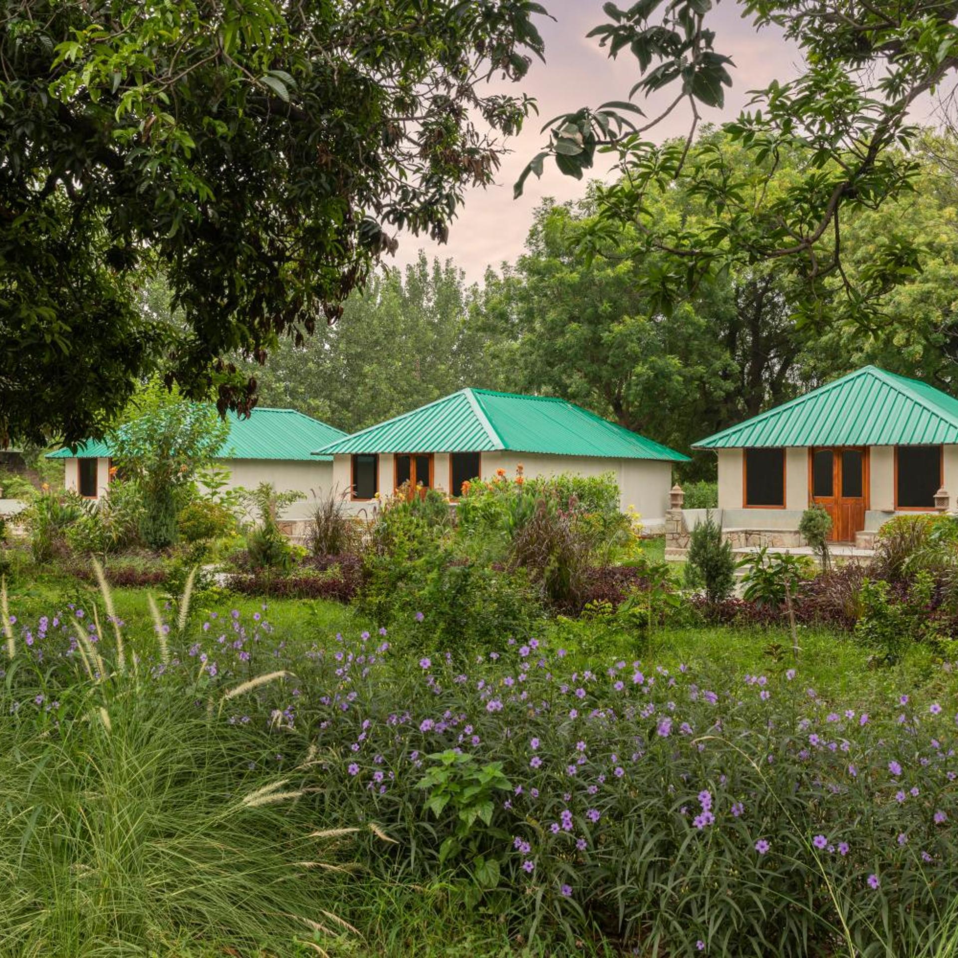 ZANA Forest Resort Ranthambore 65/72