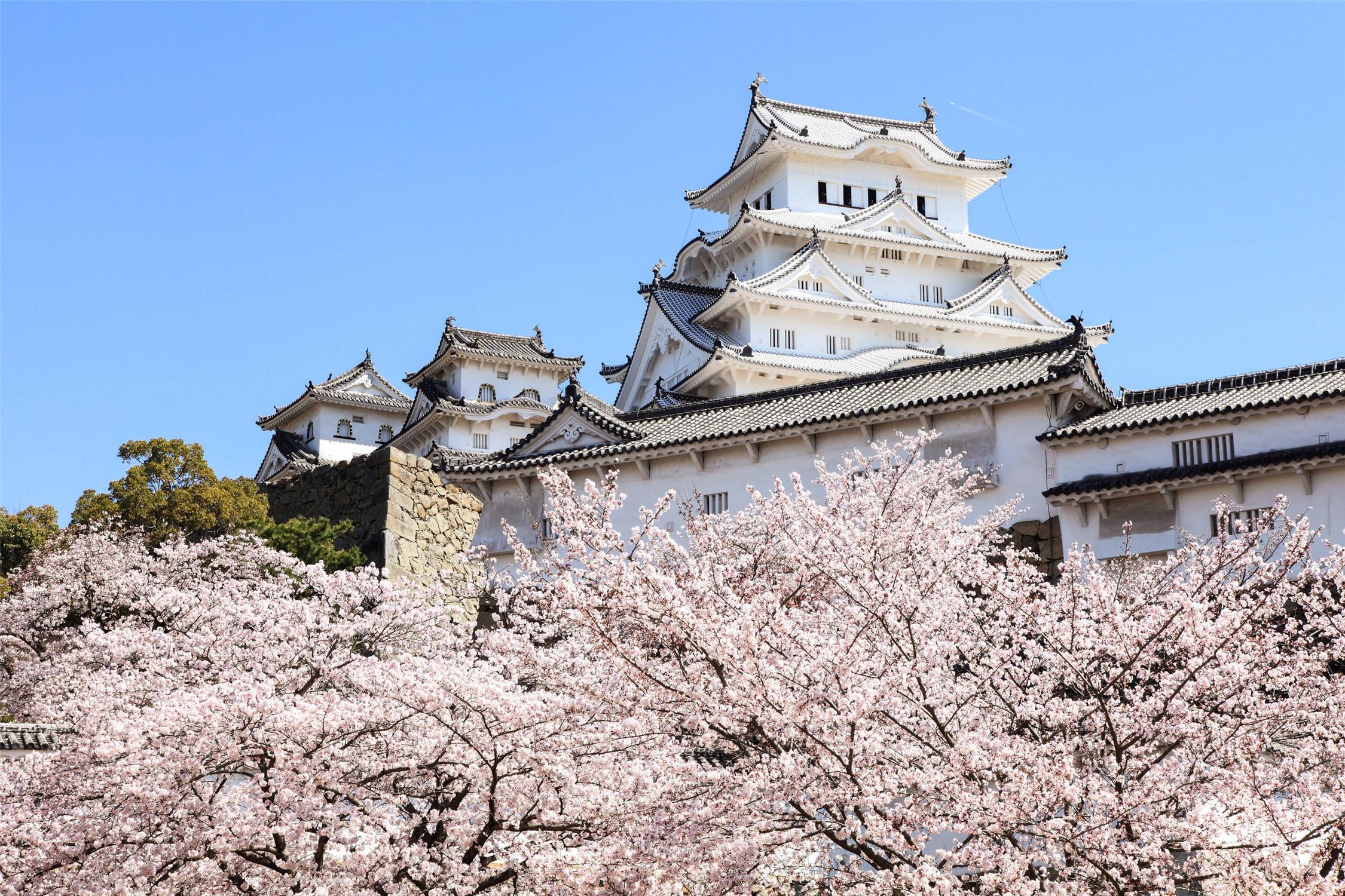 Comfort Hotel Himeji 56/56