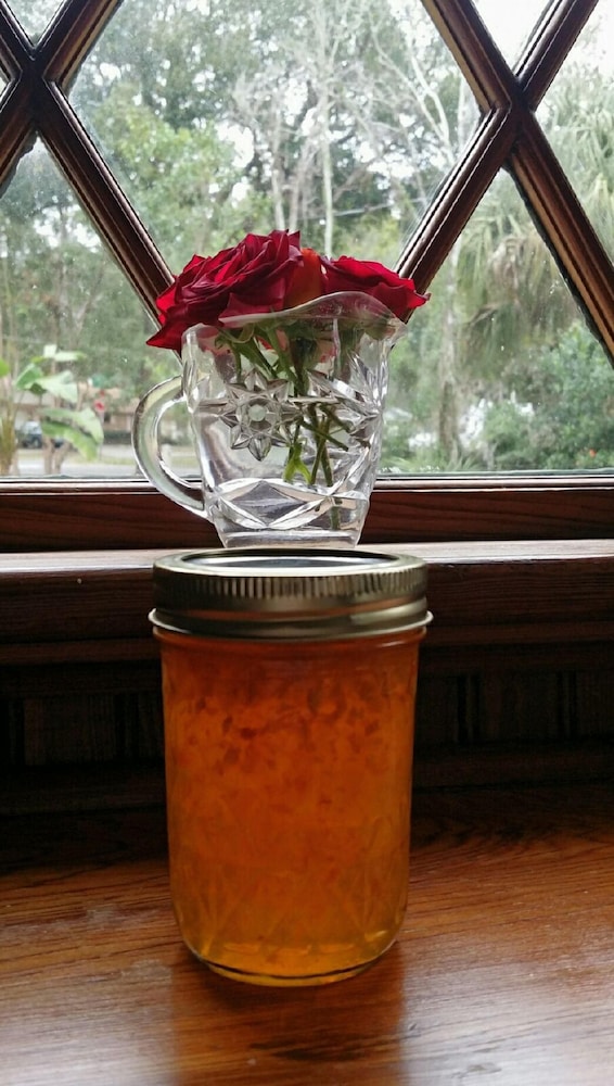 Grandview Bed and Breakfast Mount Dora 28/62