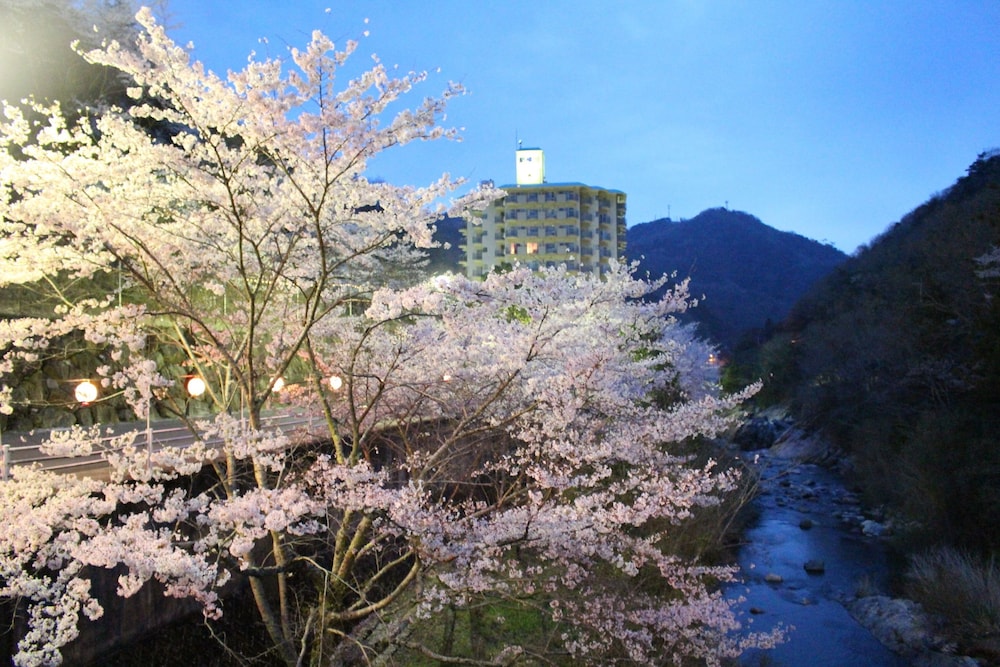 Shin Kabakawa Kanko Hotel 44/50