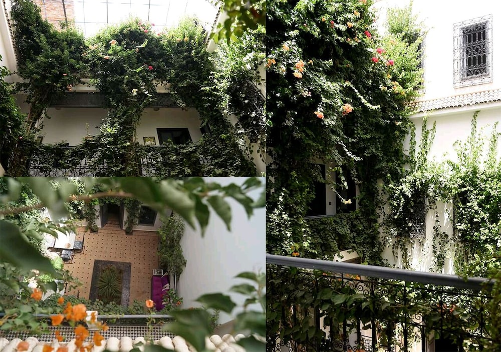 Riad Begonville 7/54