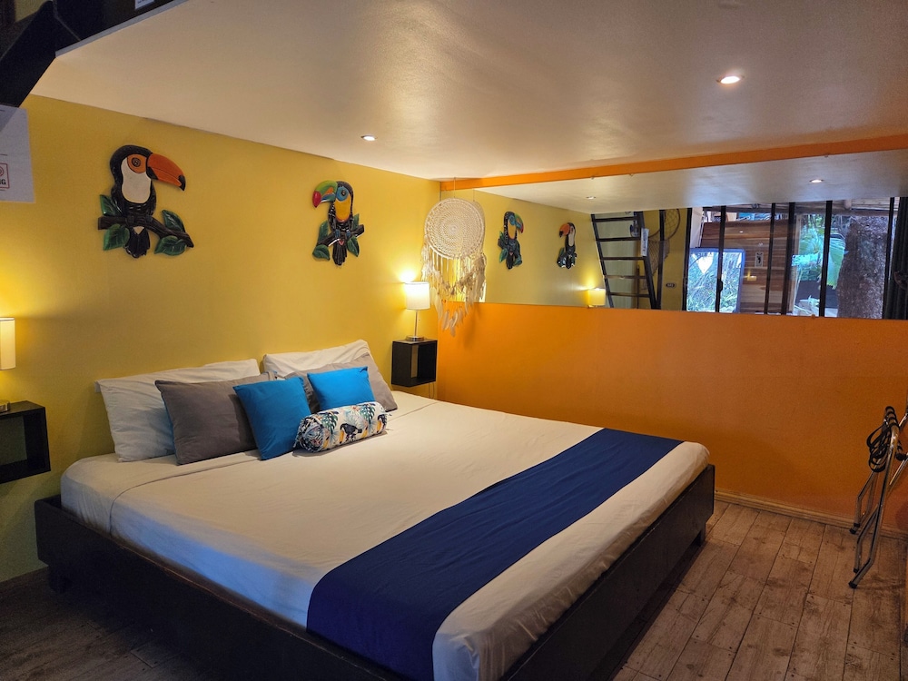 Hotel La Palapa 23/76