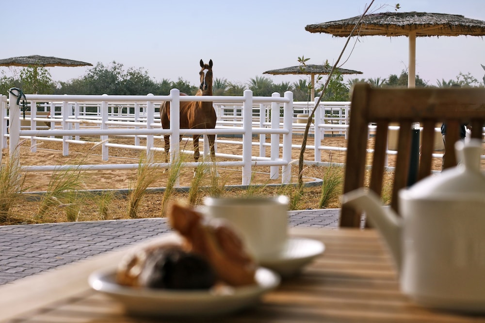 Anantara Sir Bani Yas Island Al Sahel Villa Resort 42/61