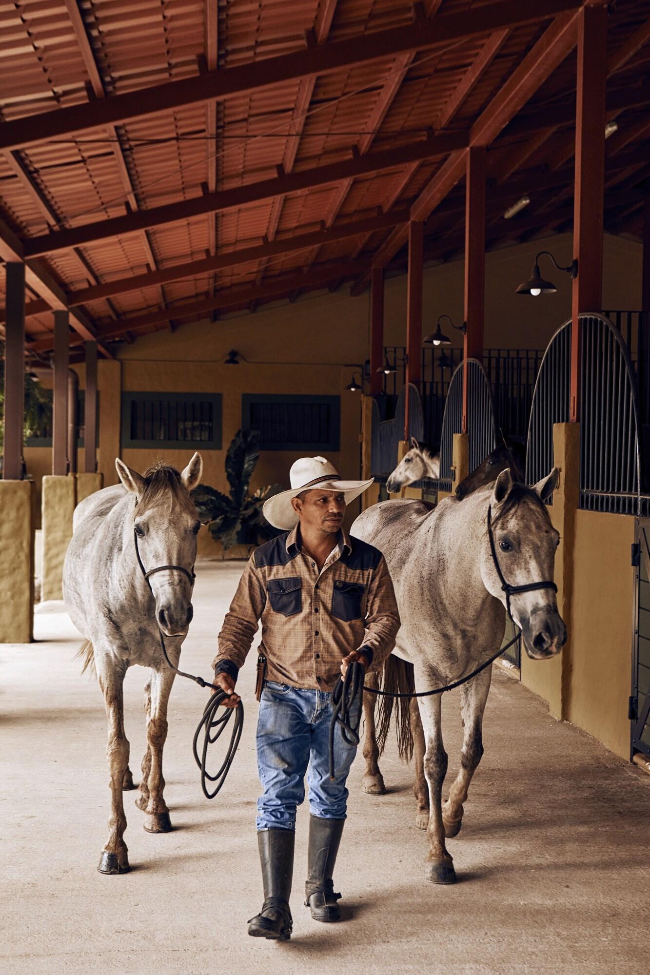 HACIENDA ALTAGRACIA 51/84