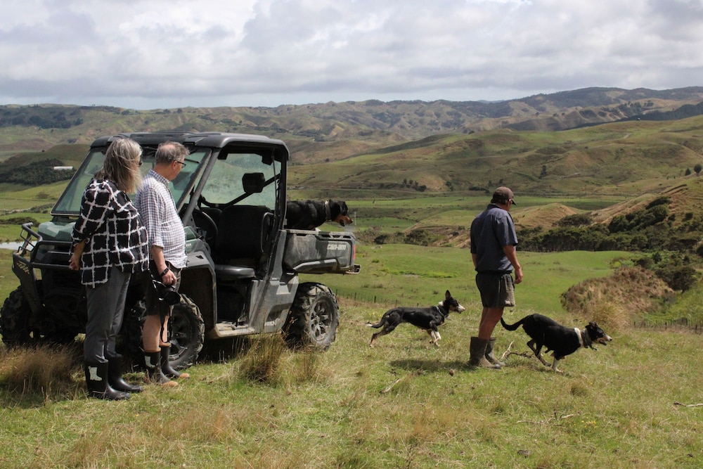 Te Karaka Lodge 54/58