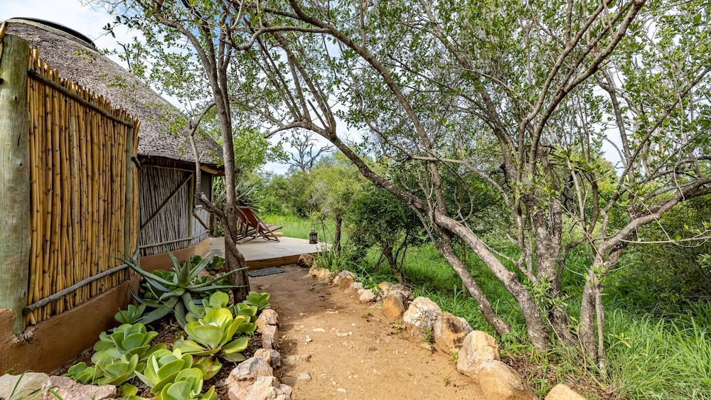 Umlani Bushcamp - Lodge 40/50