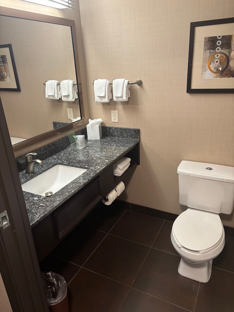 جناح بسريرين كوين، Holiday Inn South Jordan Slc South 5/5