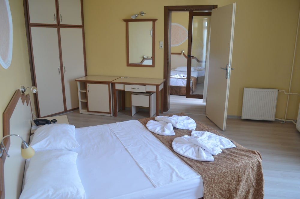 Ayvalik Palas Hotel 7/45