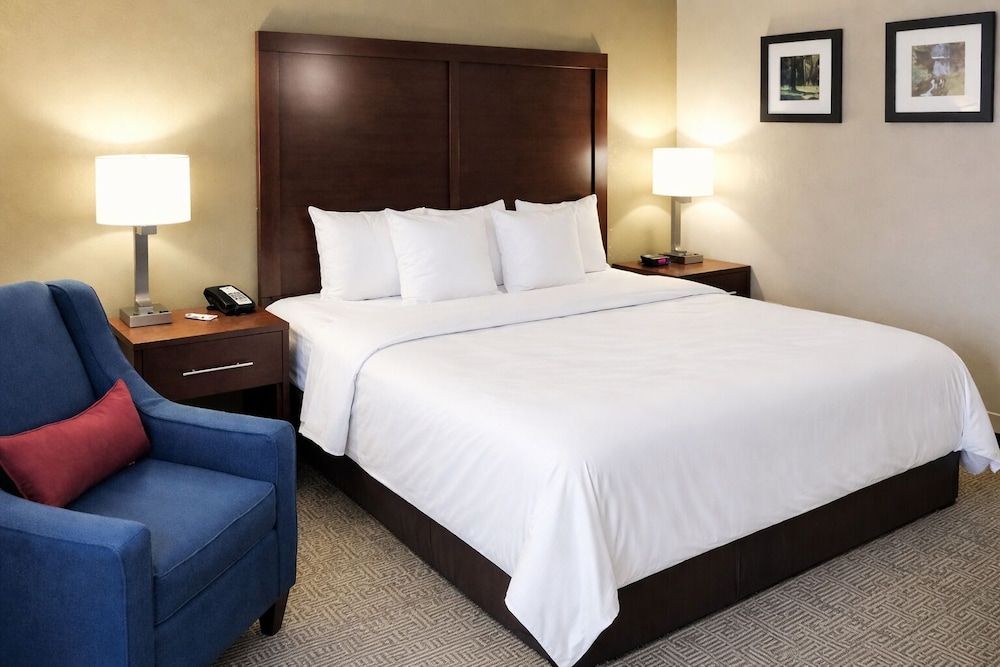 غرفة بسرير كينج لذوي الإعاقة، Comfort Inn Farmington Hills - Detroit Northwest 4/6