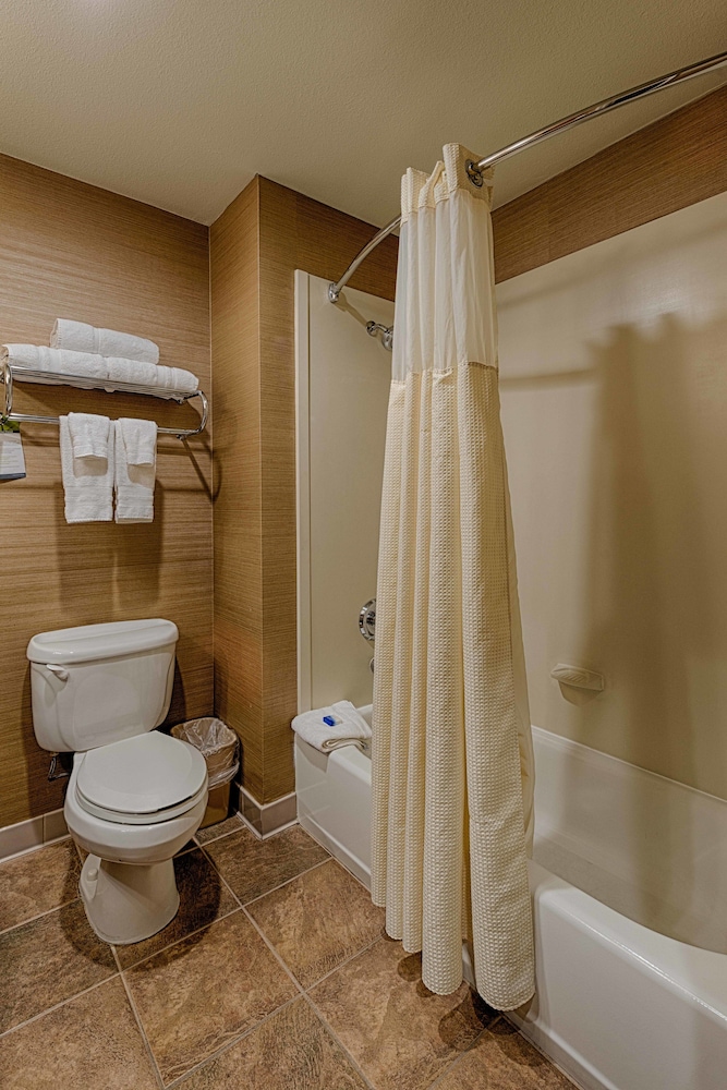 Best Western Plus Delta Inn & Suites 18/36