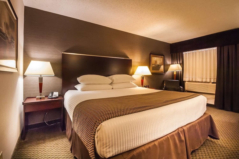 Best Western Airport Inn Calgary 13/30