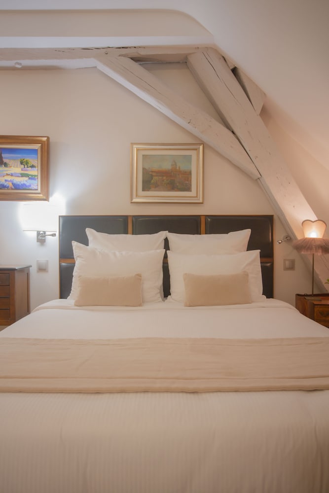 Hotel Au Charme Rabelaisien 10/50