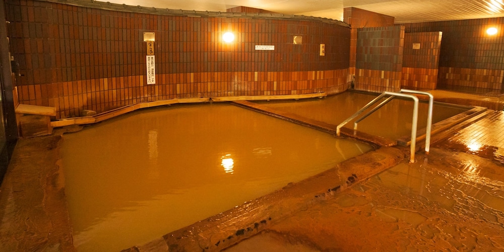 Shin Appi Onsen Seiryukaku 29/59