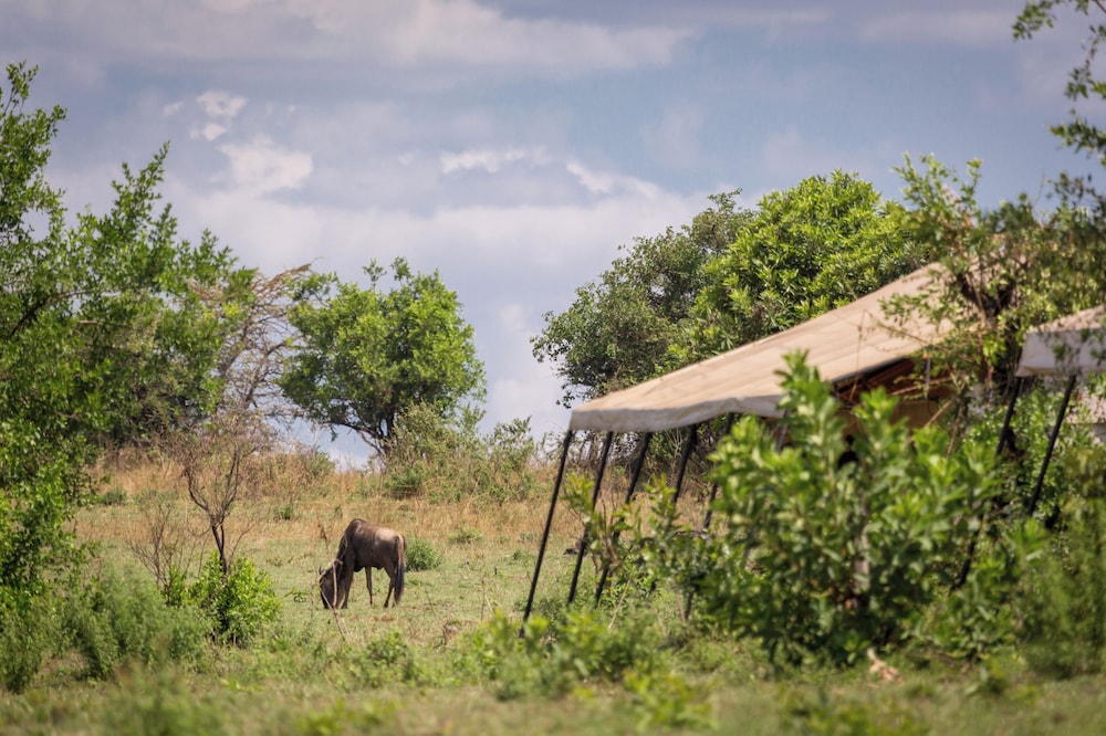 Gnu Mara River Camp 45/50