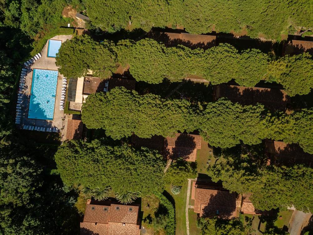 Il Paradiso 31/50