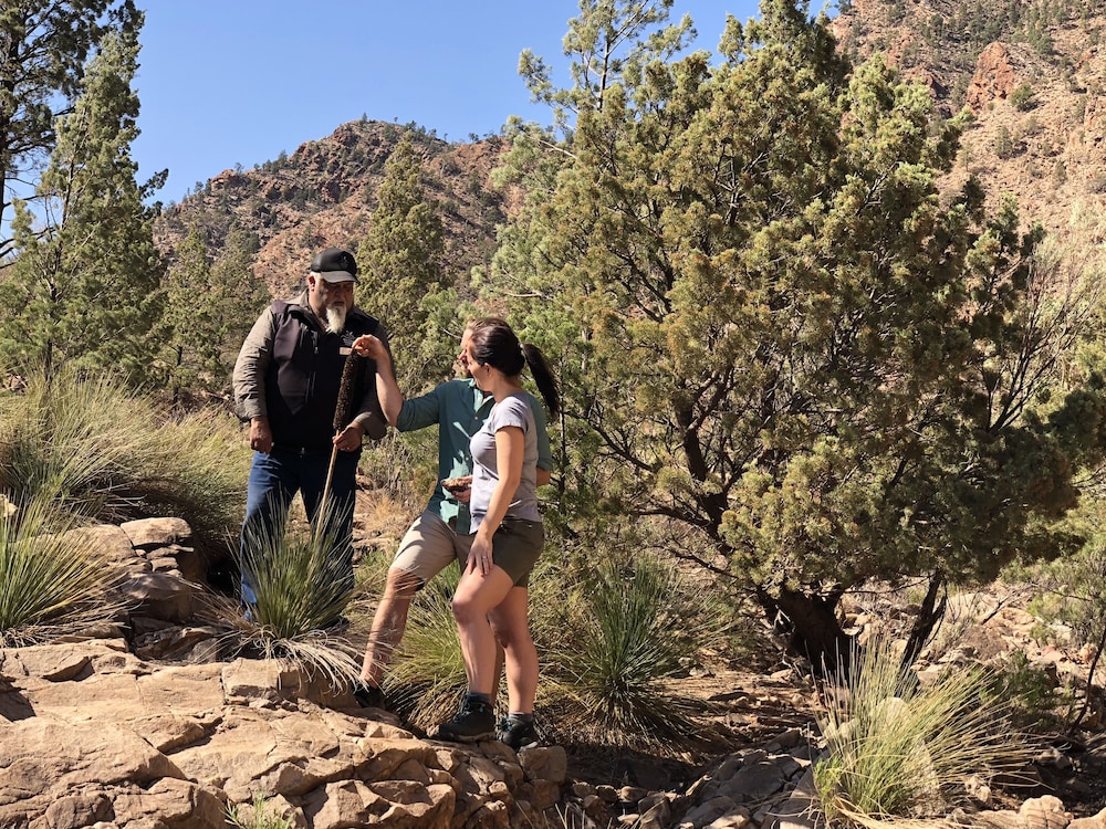 Discovery Resorts - Wilpena Pound 22/33