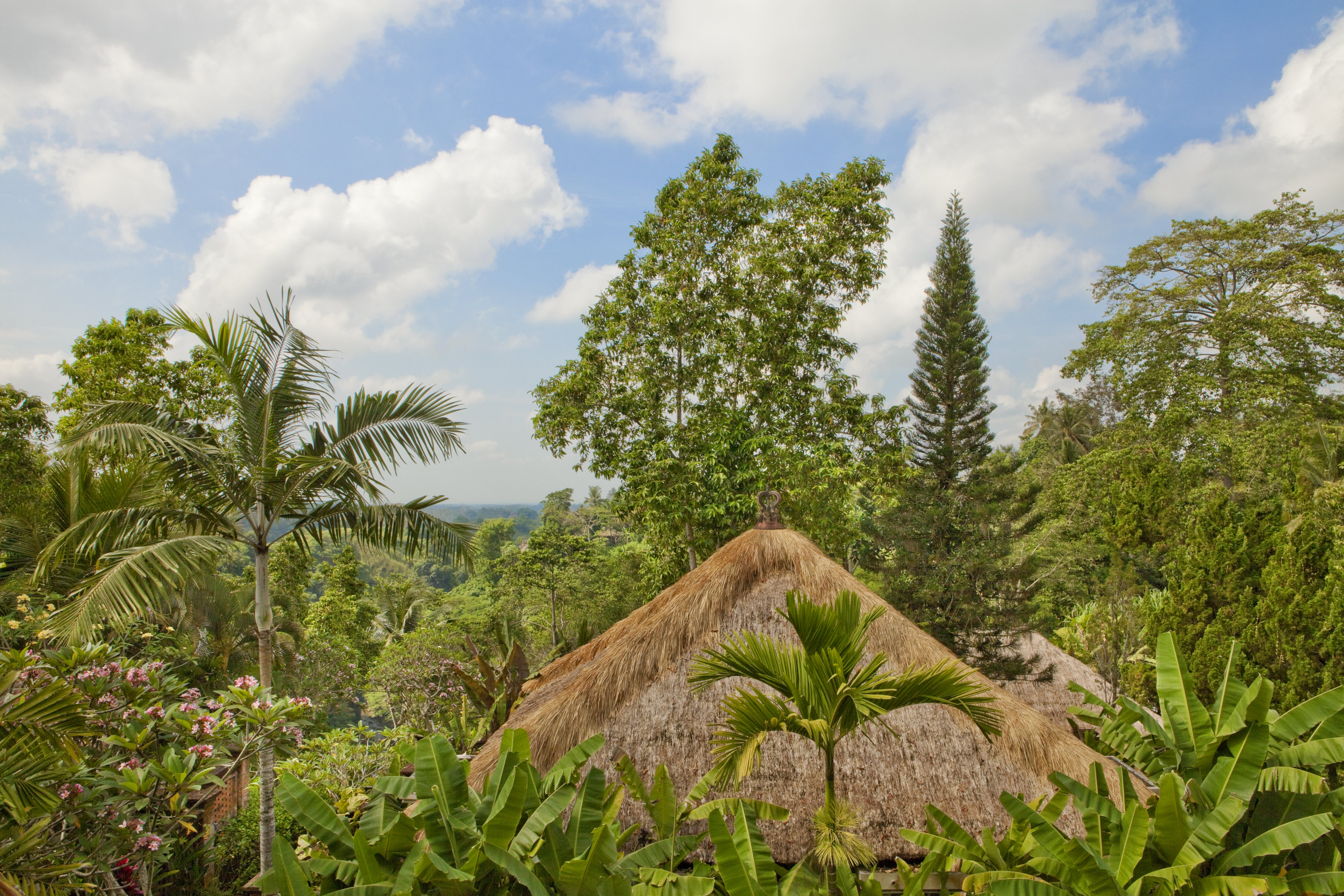 Como Uma Ubud 37/39