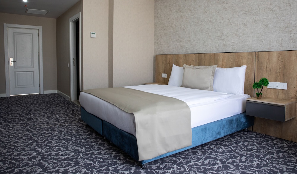 Arion Hotel Baku 24/68