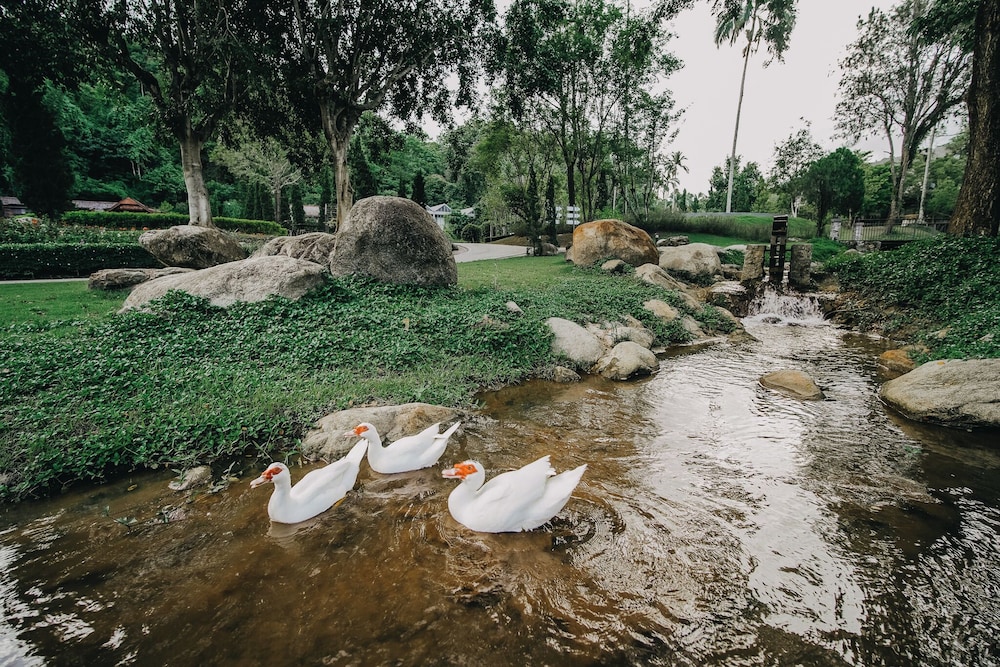 Flora Creek Chiang Mai 73/77