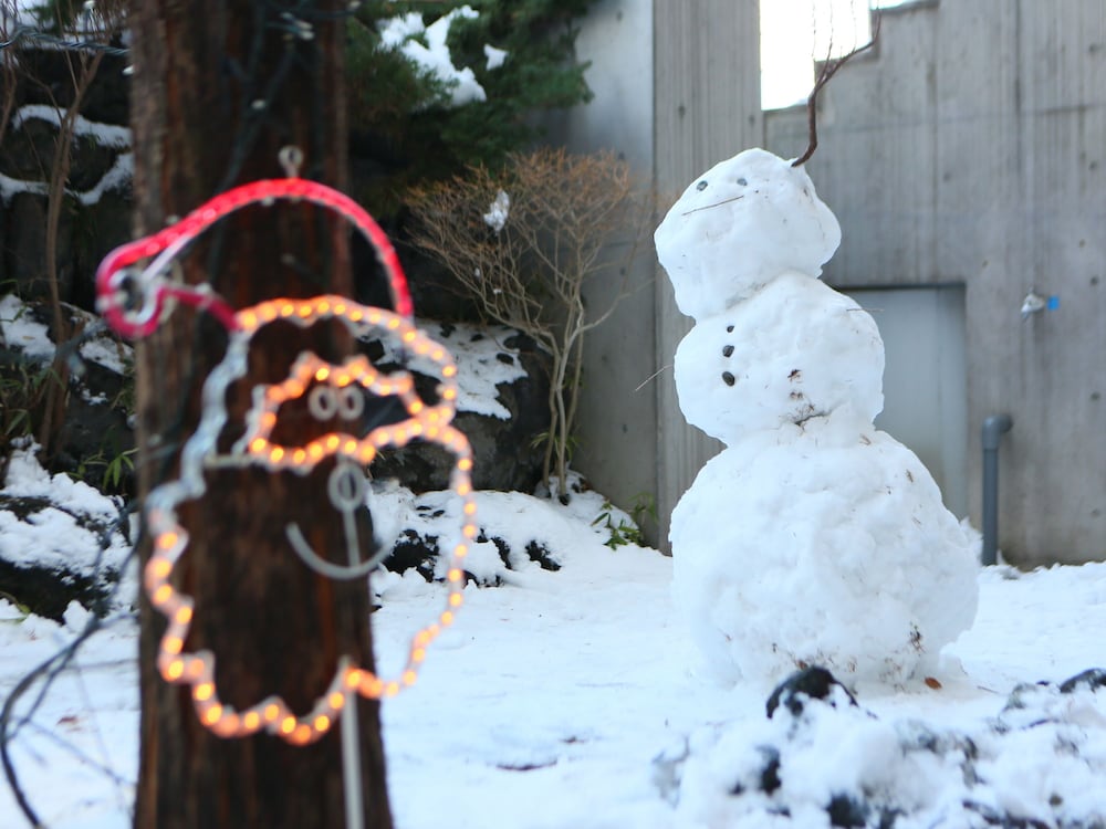 Apa Hotel Karuizawa Ekimae 56/65