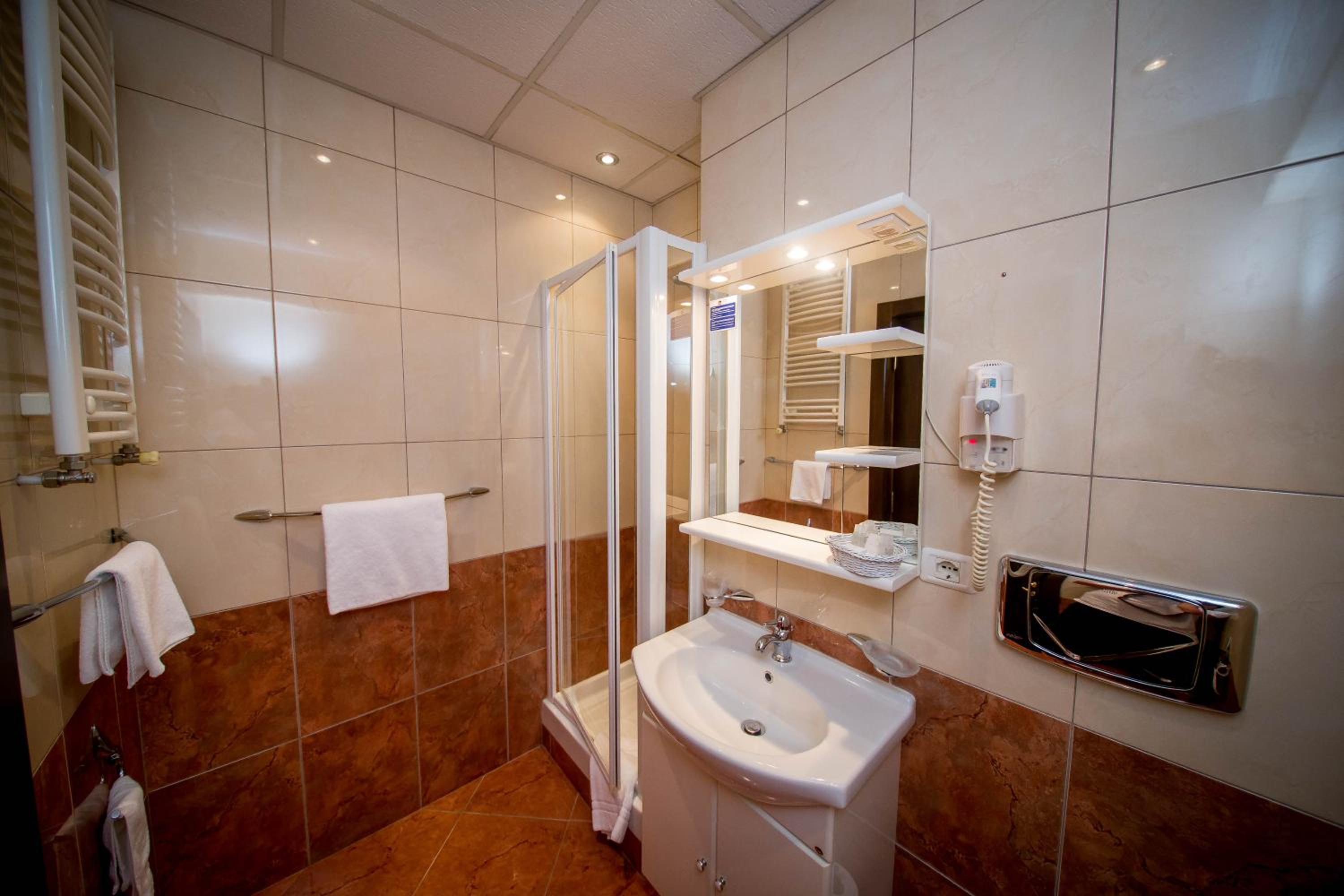 غرفة قياسية مفردة، Best Western Central Hotel 8/10
