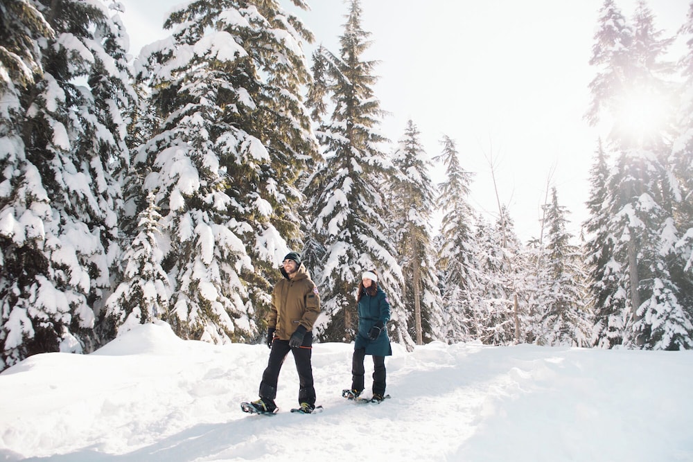 Fairmont Chateau Whistler Gold Experience 42/48
