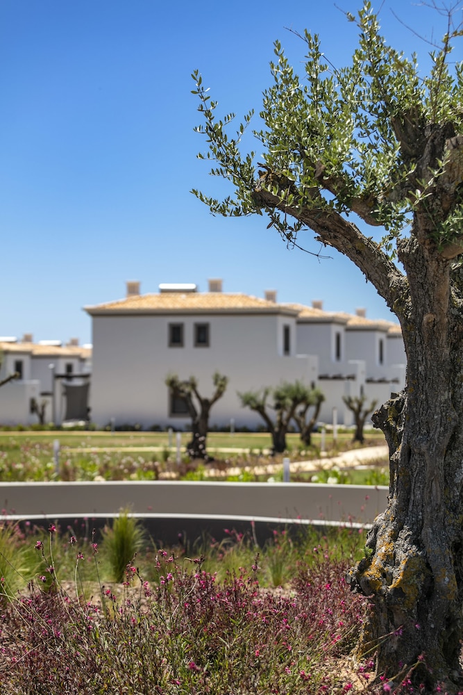 Quinta Do Algarvio 66/67