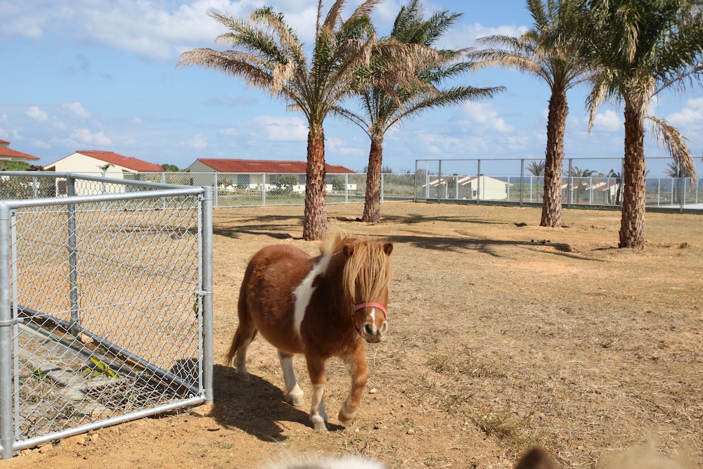 AJ Resort Island Ikeijima 60/65