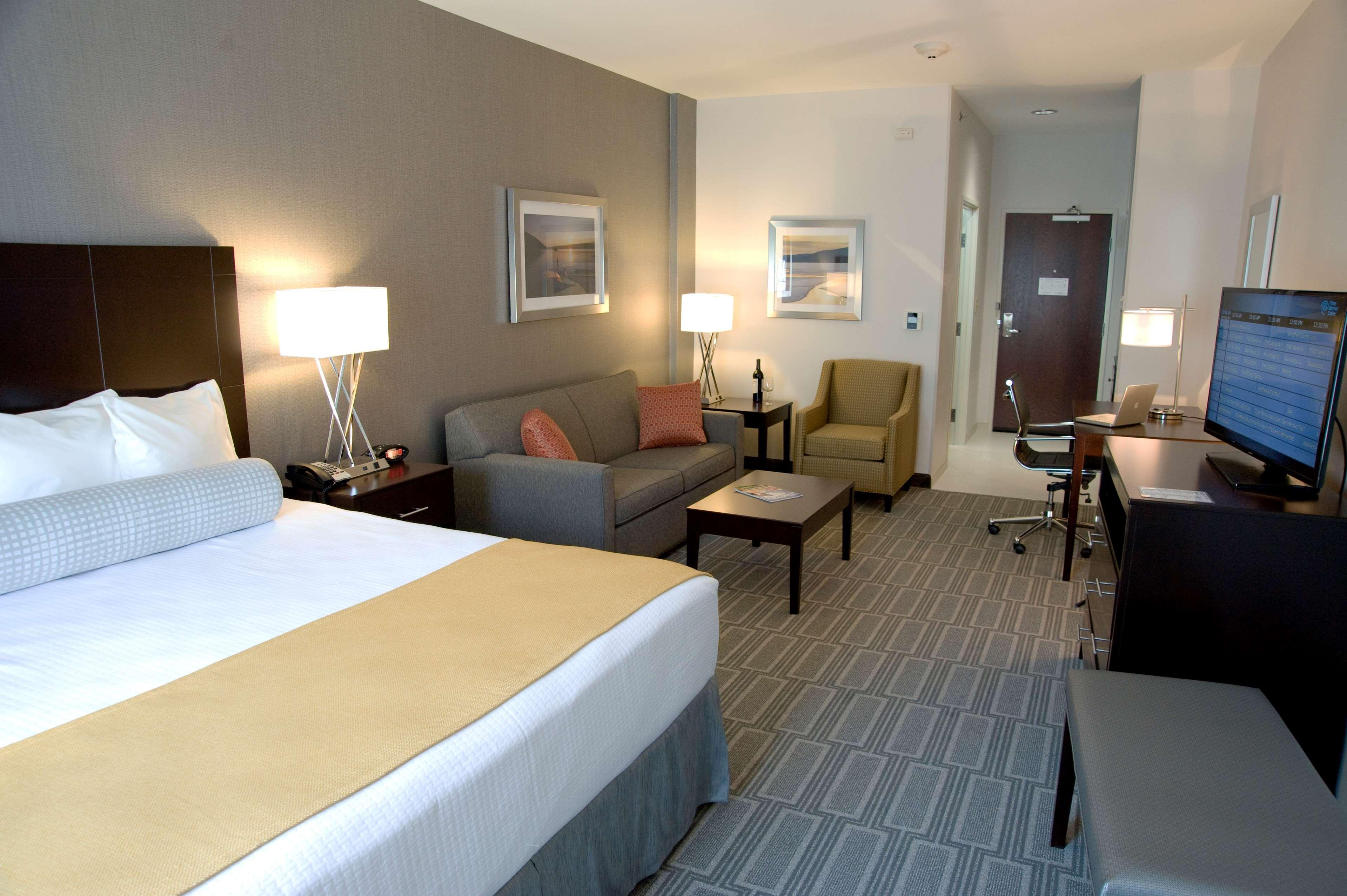 Suite, King Bed