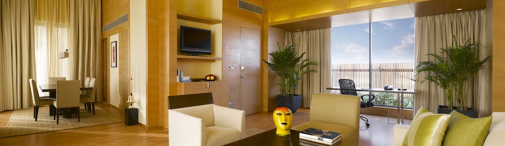 HYATT HYDERABAD GACHIBOWLI 12/71