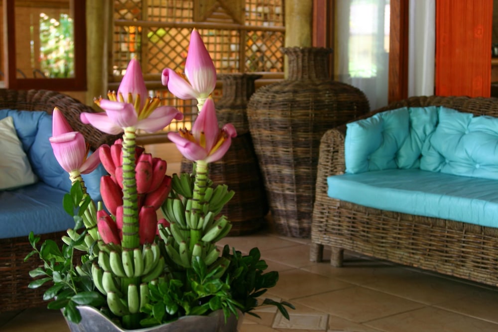 Itamambuca Eco Resort 53/73