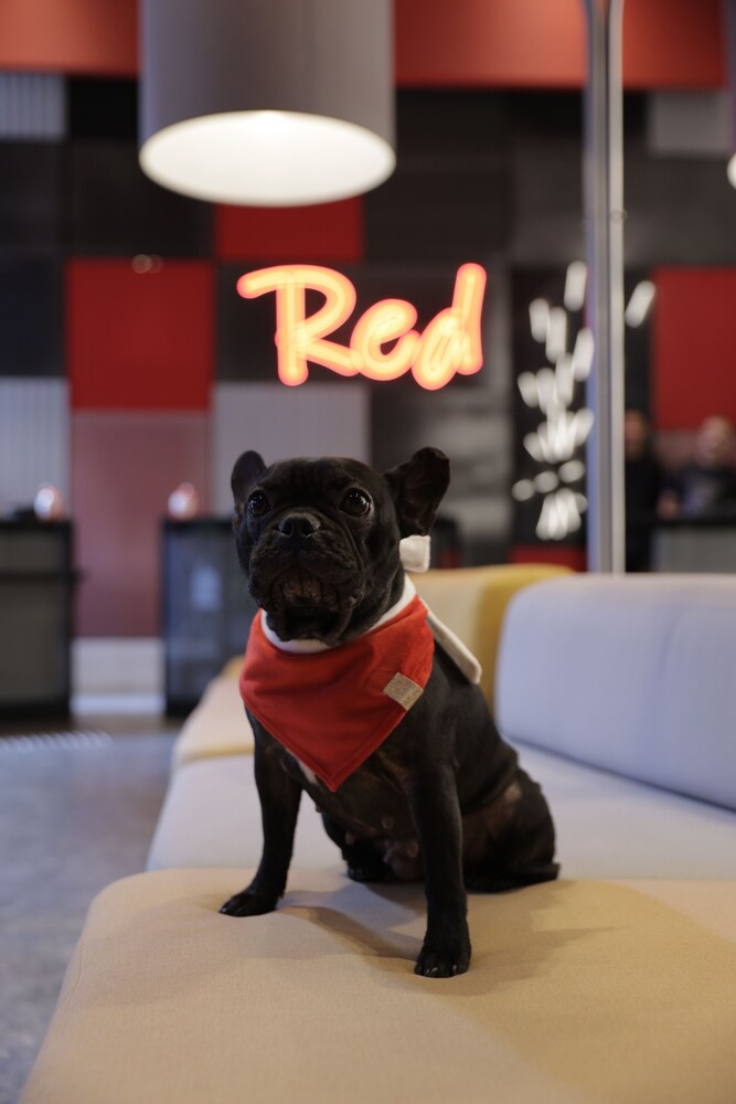 Radisson Red Ibirapuera 12/40