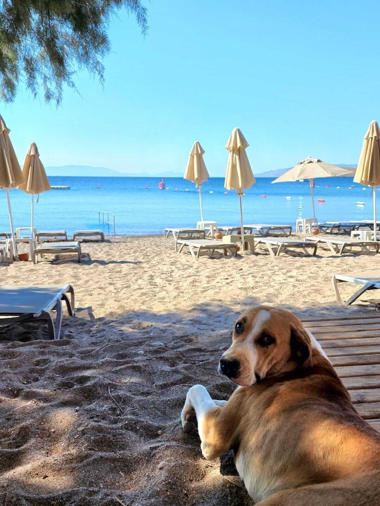 Kefi Beach And Suites 46/50