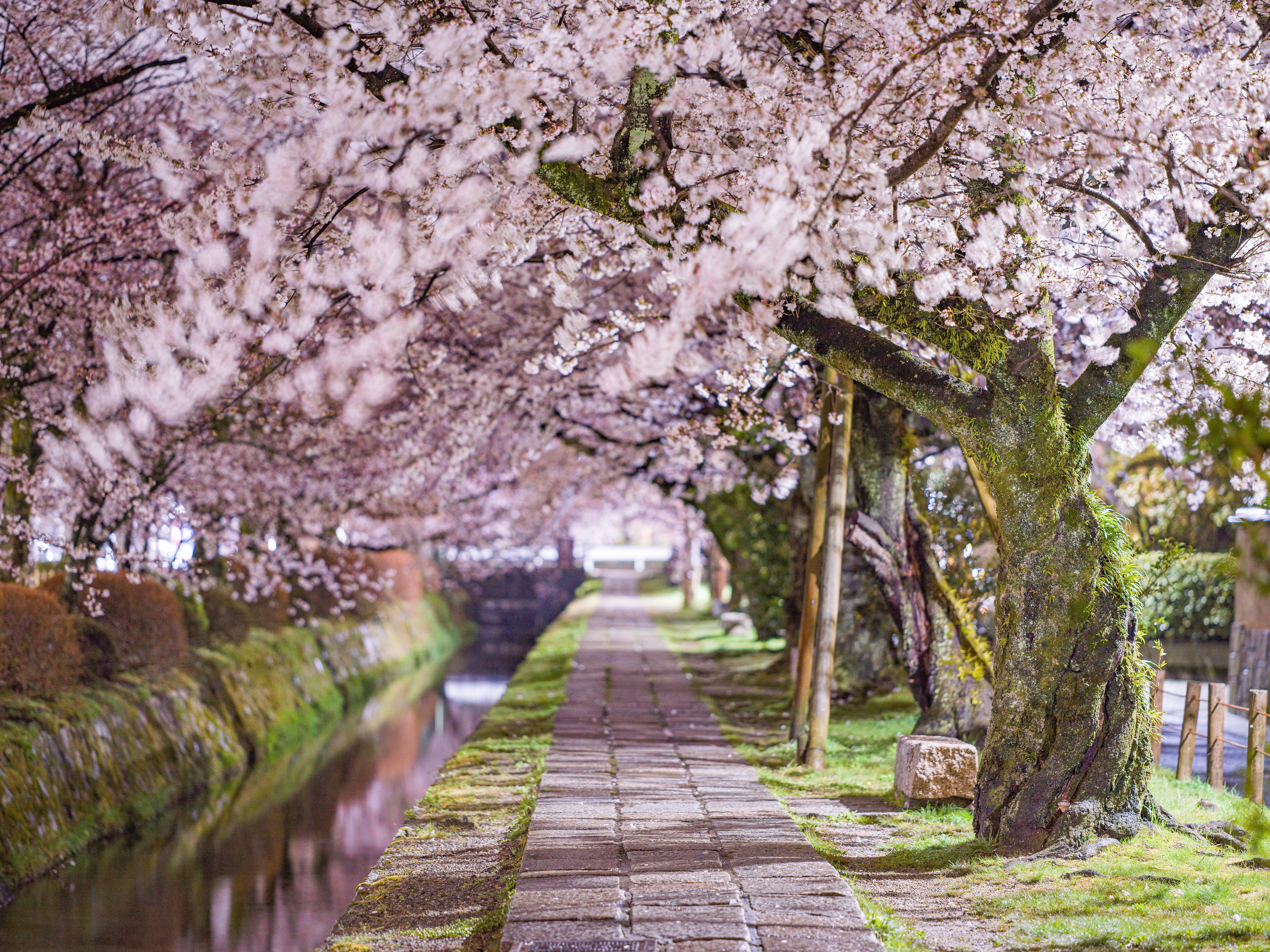 Six Senses Kyoto 49/50