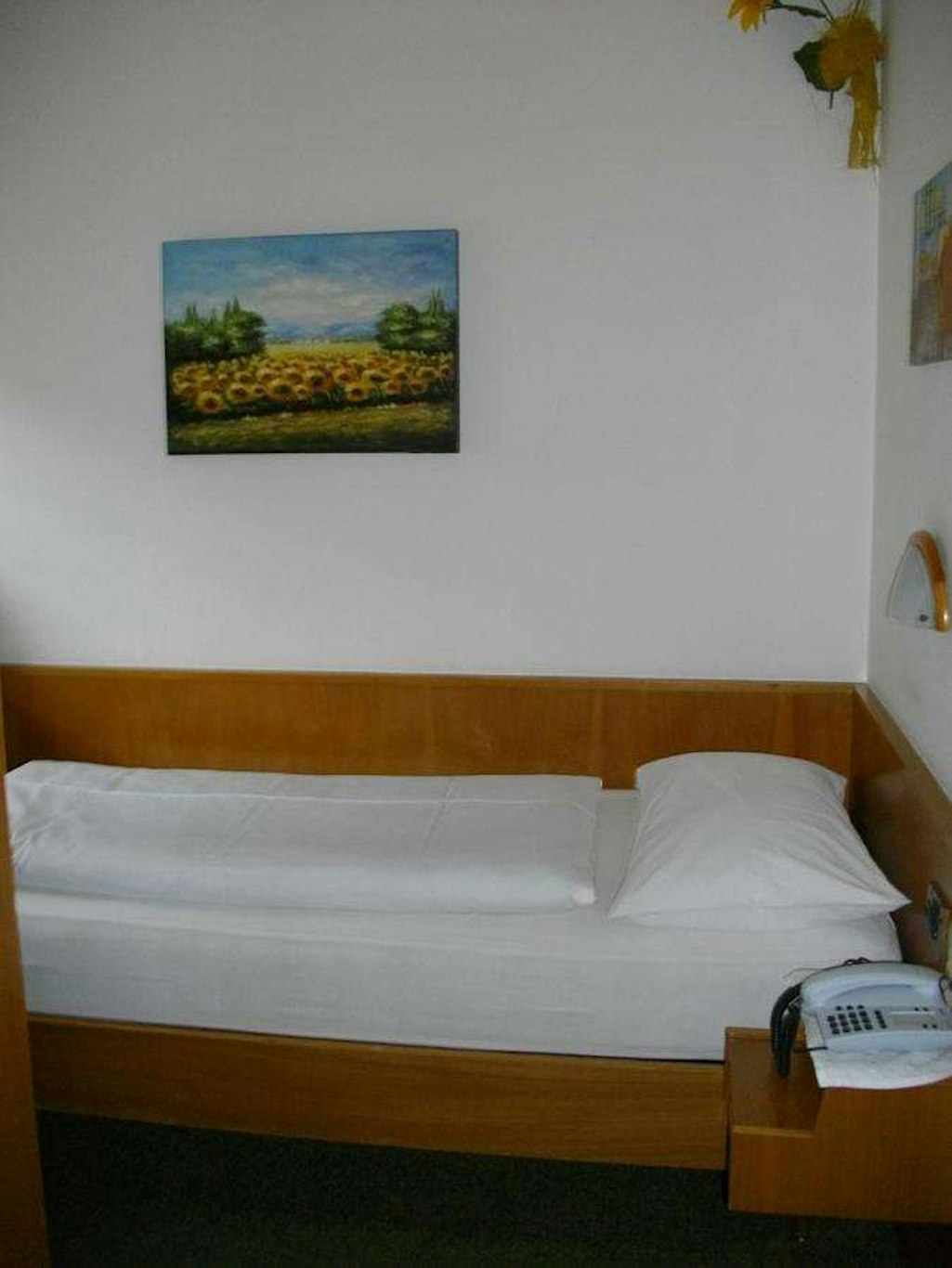 Hotel Villa Emilia Ortisei 21/56