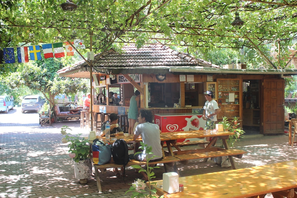 Olympos Orange 6/50